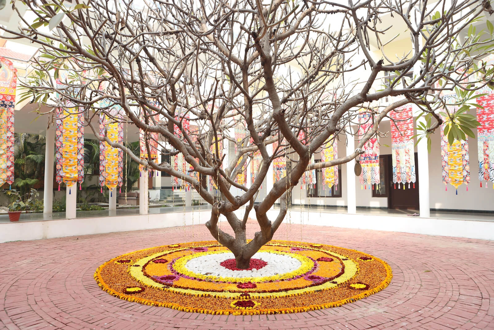 Newsletter Message February 2024