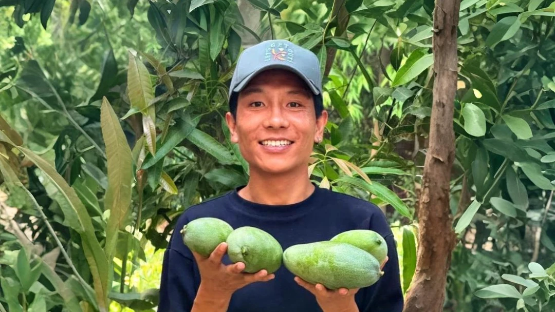 Summer at SINI: A Season of Stillness and Sweetness