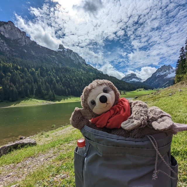 Mr. Sloth traveling in the Swiss Alps